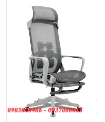GHẾ CÔNG THÁI HỌC 